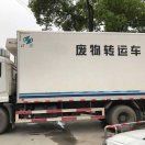 金色飞贼cc