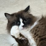 getacookie