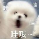 黑敏敏