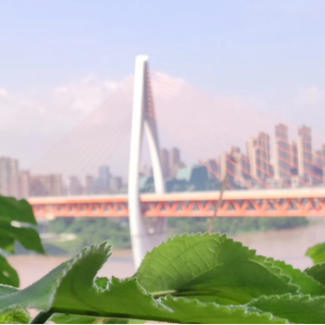 cover of episode 24，我们咋去过这么多城市呢，聊聊这一大堆有过印象、有过向往的地方