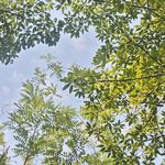 安素_2XEI