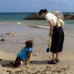 “我妈把我推到英语角，我把我狗推到狗公园”：养狗照见我自己| 毛朋友电波 30