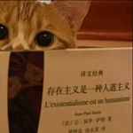 梦醒的夏天z