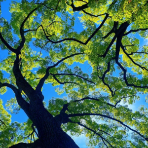 Vol.03 如何看待朋友的丰盛感和现代人对孤独的忍受度？|人际关系的数字化趋势和亲密关系的本质