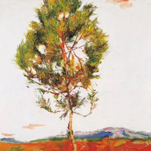 4.浇地/李娟《遥远的向日葵地》