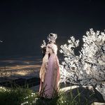 声影中的声音