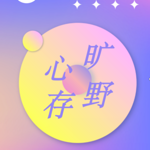 13 对话大厂出海金融业务运营：大厂的996吹到了南美大陆