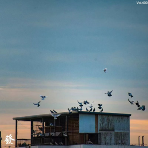 400期 - 【私密片花】简易楼，防空洞，废墟，基地……心中的避难所和说不清的回忆。
