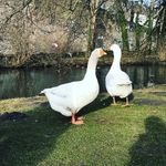 一瞬间又像是永恒