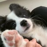 KKK的留声机