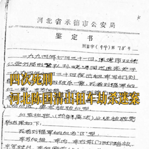 27. 四次死刑、四个农民的无罪长征：河北陈国清出租车劫杀迷案