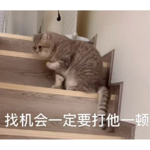 EP56. 吵架心理学：你非要这么想...那我也有办法