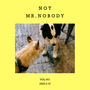 vol.401：是隐藏打工人，也是幕后大功臣～