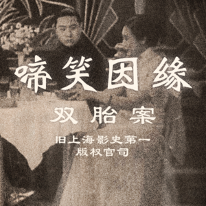《啼笑因缘》双胎案——旧上海影史第一版权官司