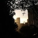 大吉的居居