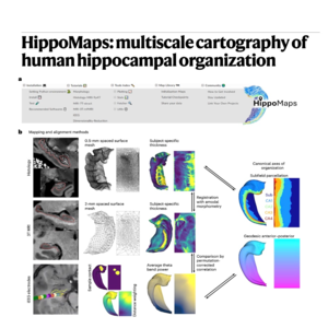 224-HippoMaps: 人类海马体多尺度组织图谱