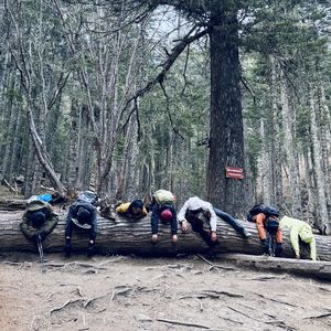 vol.135 | 旅行记忆：意外、连接与自我发现