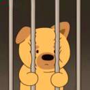 蟹堡王干饭一哥