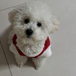 轻语拾光