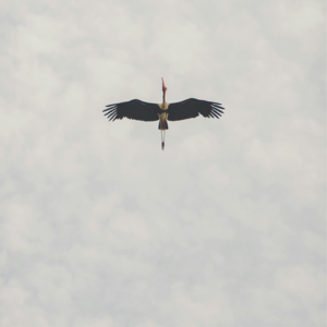 vol.04 你会翻过山，看到万丈青天