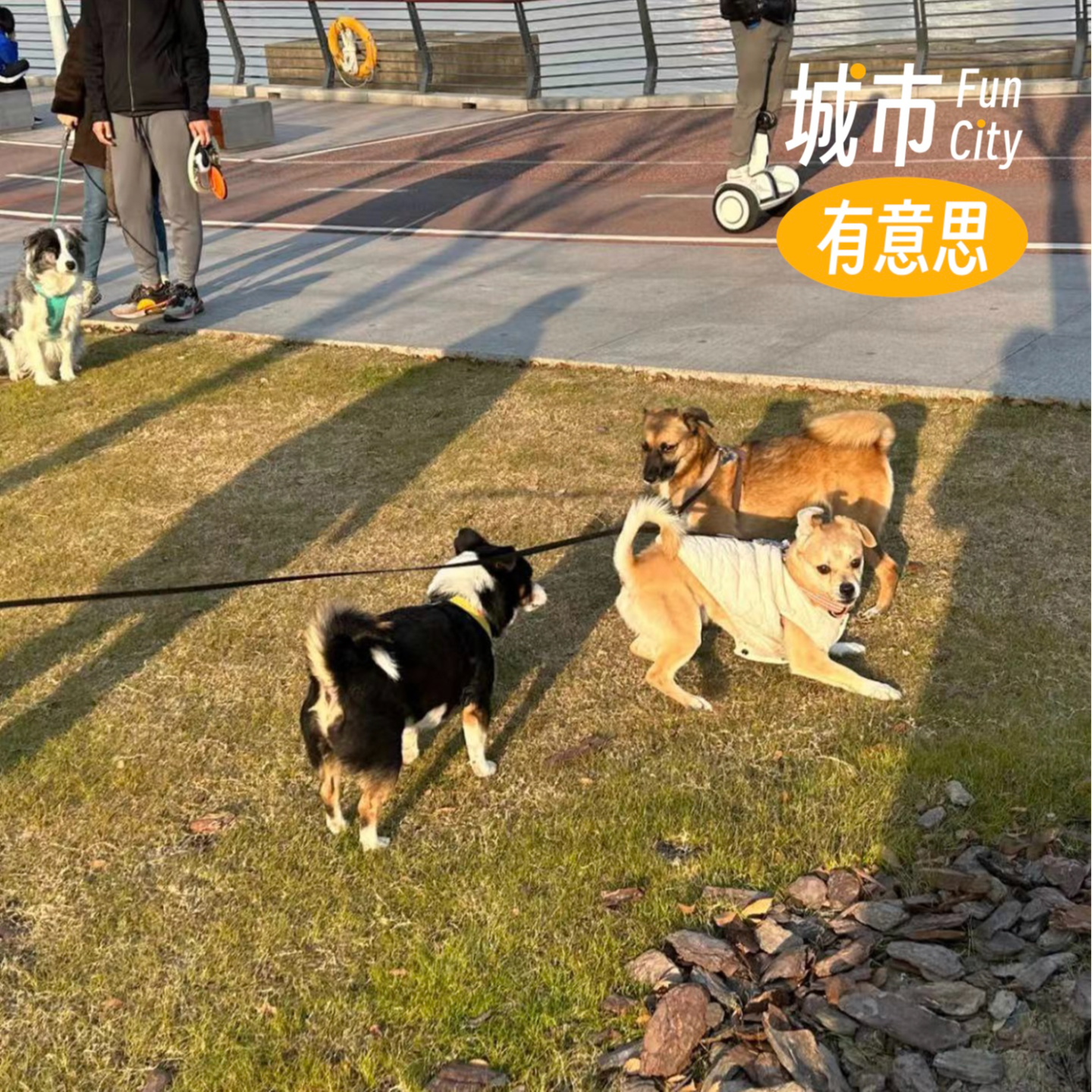 城市有意思