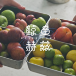 Vol.273 吃了这么多种李子会怎样？