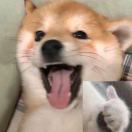 崔泡泡_ARyq