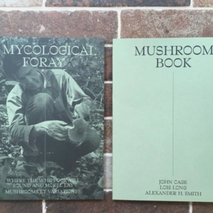 从John Cage到云南蘑菇🍄