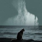 煜瑜雨渝禹羽钰鱼