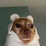 华中犀利女