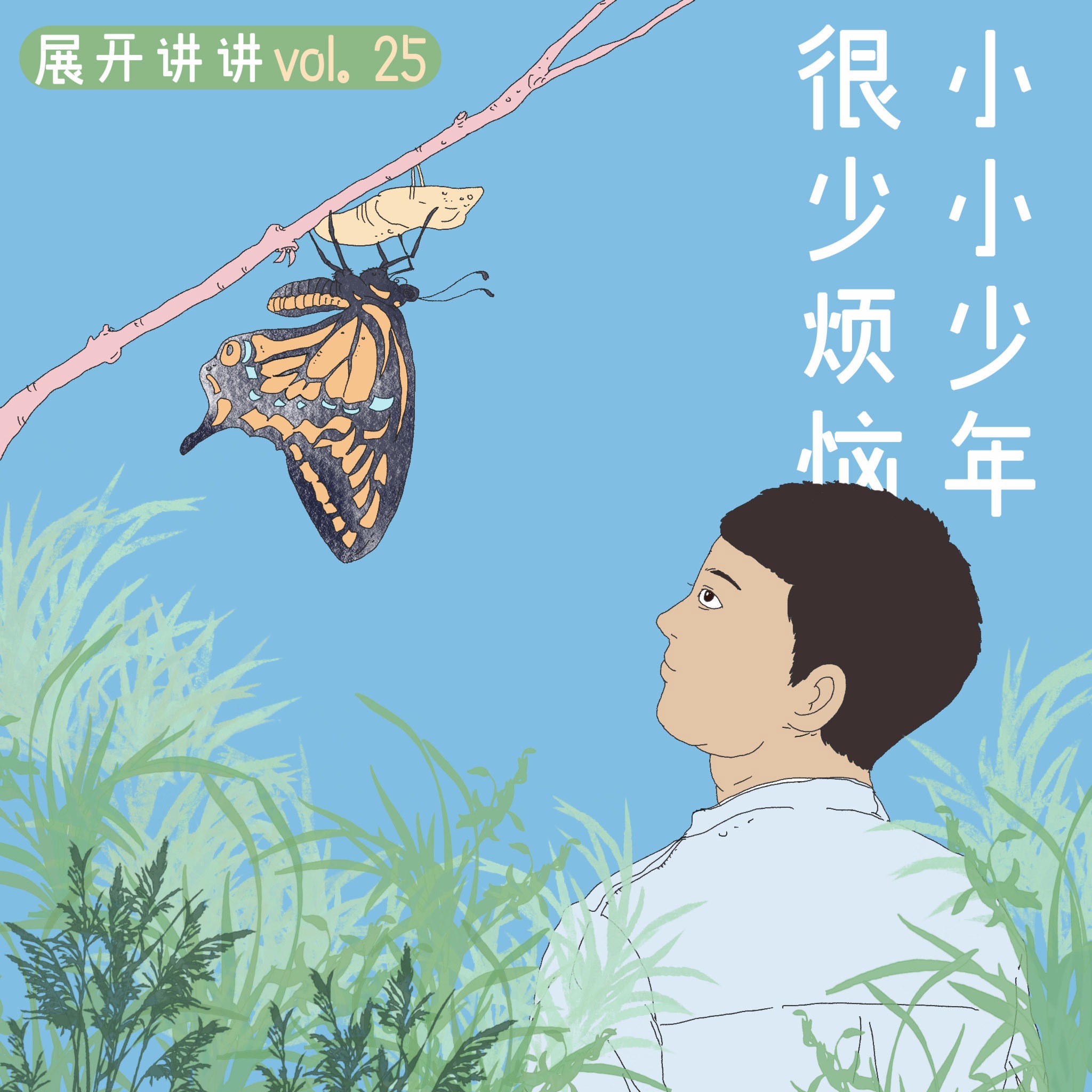 cover of episode 25.小小少年：鸡娃之外的另一种人生