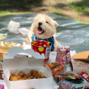 爱犬被毒死案后续：今日宣判，被告获刑 4 年 | 故事重播