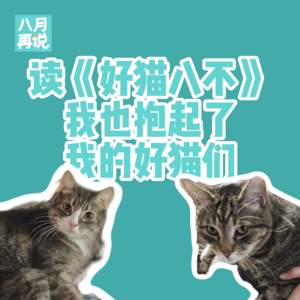 019 读《好猫八不》，我也抱起了我的好猫们