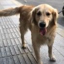 威廉_embO