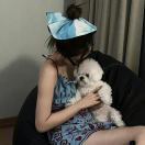 地瓜烤小猪