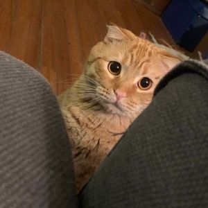 史蒂夫说189期 - 缺爱导致的同理心缺乏如何补救？