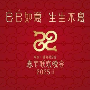 《春晚2025》:一道虎头蛇尾的预制菜