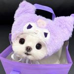 君生我未生i_