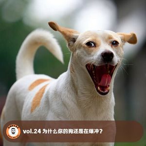 vol.24 为什么你的狗还是在爆冲？