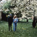 下午在旧居烧信