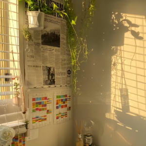 EP16 乔治.佩雷克《物》：“我很幸福”是物质世界的谎言