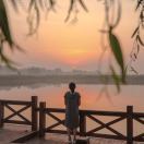 麦苗_FsLI
