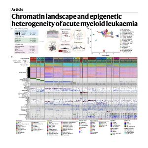 1345-Chromatin Landscape and Epigenetic Heterogeneity of AML
