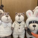 人家是个小号哟