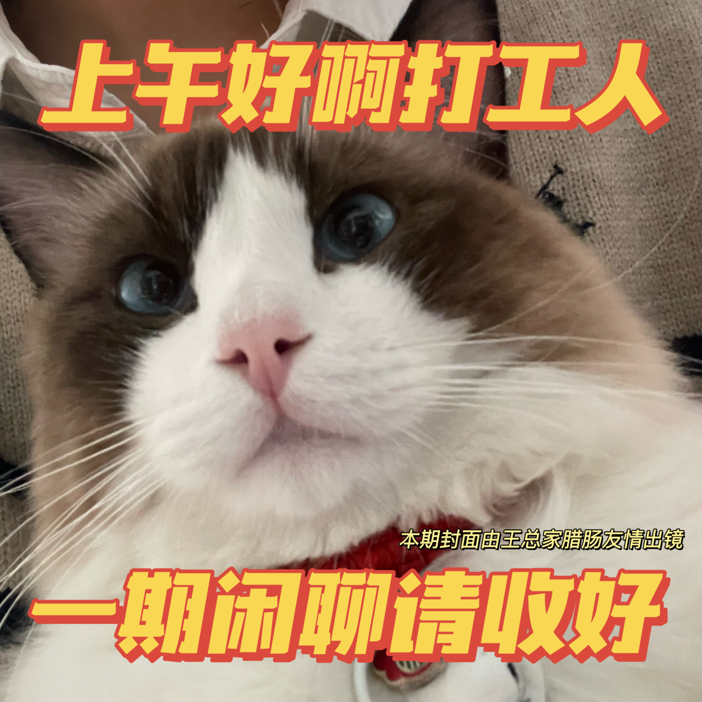 Vol.41 八天假期留不住 轻舟已过七天班 episode artwork