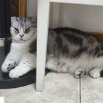 璇儿顺顺顺