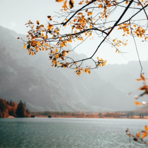 EP87 短期波动率预测与季节性调整