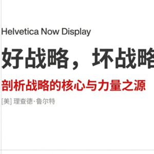 好战略，坏战略：在复杂世界中一击致命的底层逻辑