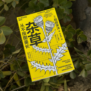 130 在踩踏中先好好活着，向下扎根也能打开新世界｜《杂草》