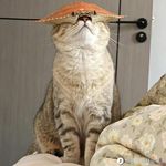 我在垦丁天气晴-f